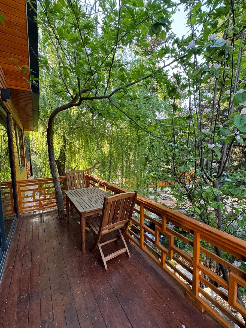 Trinitys Forest Bungalows Kemer Exterior photo